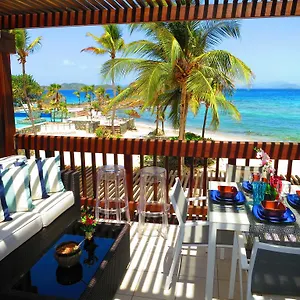 Luxury Beachfront King On Sapphire Ii Apartment East End (Saint Thomas)